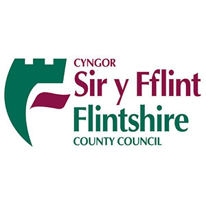 logo fflint